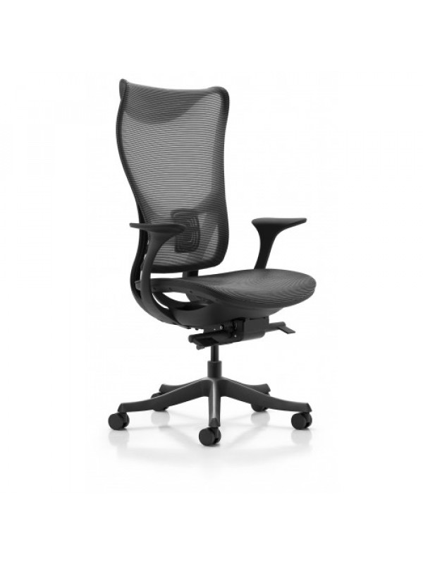 Beverly Hills Chairs | Westholme - Nanoflex - Fixed Arms Office Chair | Black - Mesh Seat