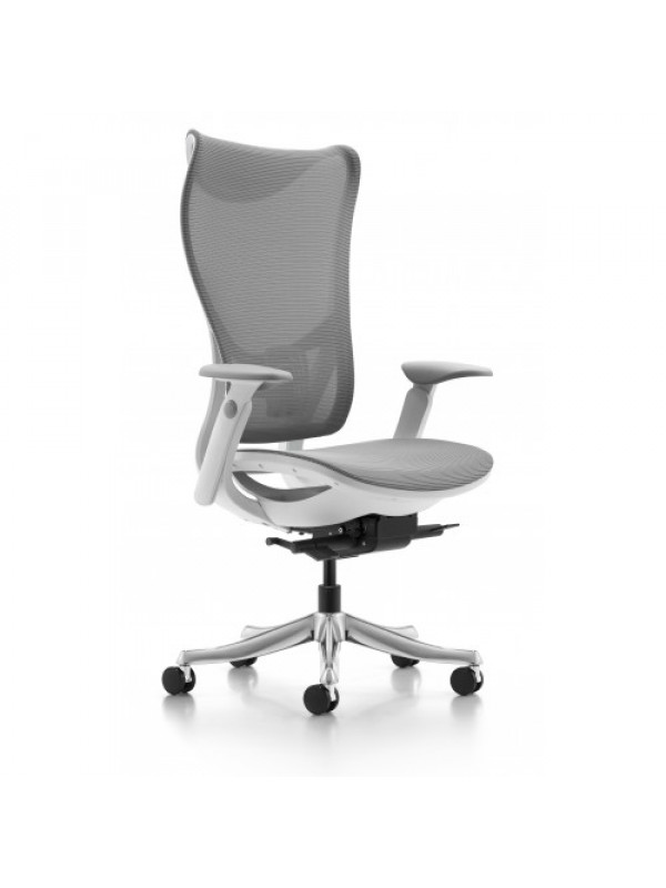 WESTHOLME Nanoflex - Fully Adjustable Desk Chair, ...